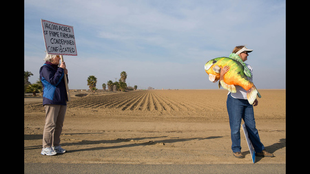 Ria Morearty de Groot and Cathy Case traveled with other protesters from Stockton, Calif. to stand along the expected route of President Barack Obama’s motorcade in drought-affected farm country in the Central Valley’s west side on Friday, Feb. 14. 'They’re not supporting the only freshwater estuary in the western U.S.,' said Case about California’s diversion of water from the delta of the Sacramento and San Joaquin rivers. The protesters hoped to counter the support for additional damming they expected west side farmers to convey to President Obama.