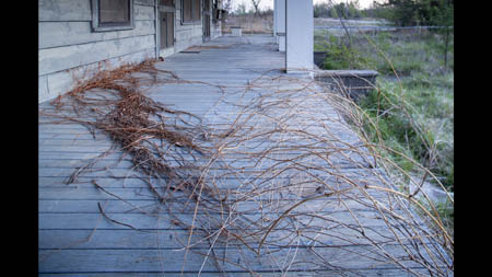 Weeds climb over the porch of the gutted Picher Mining Museum.